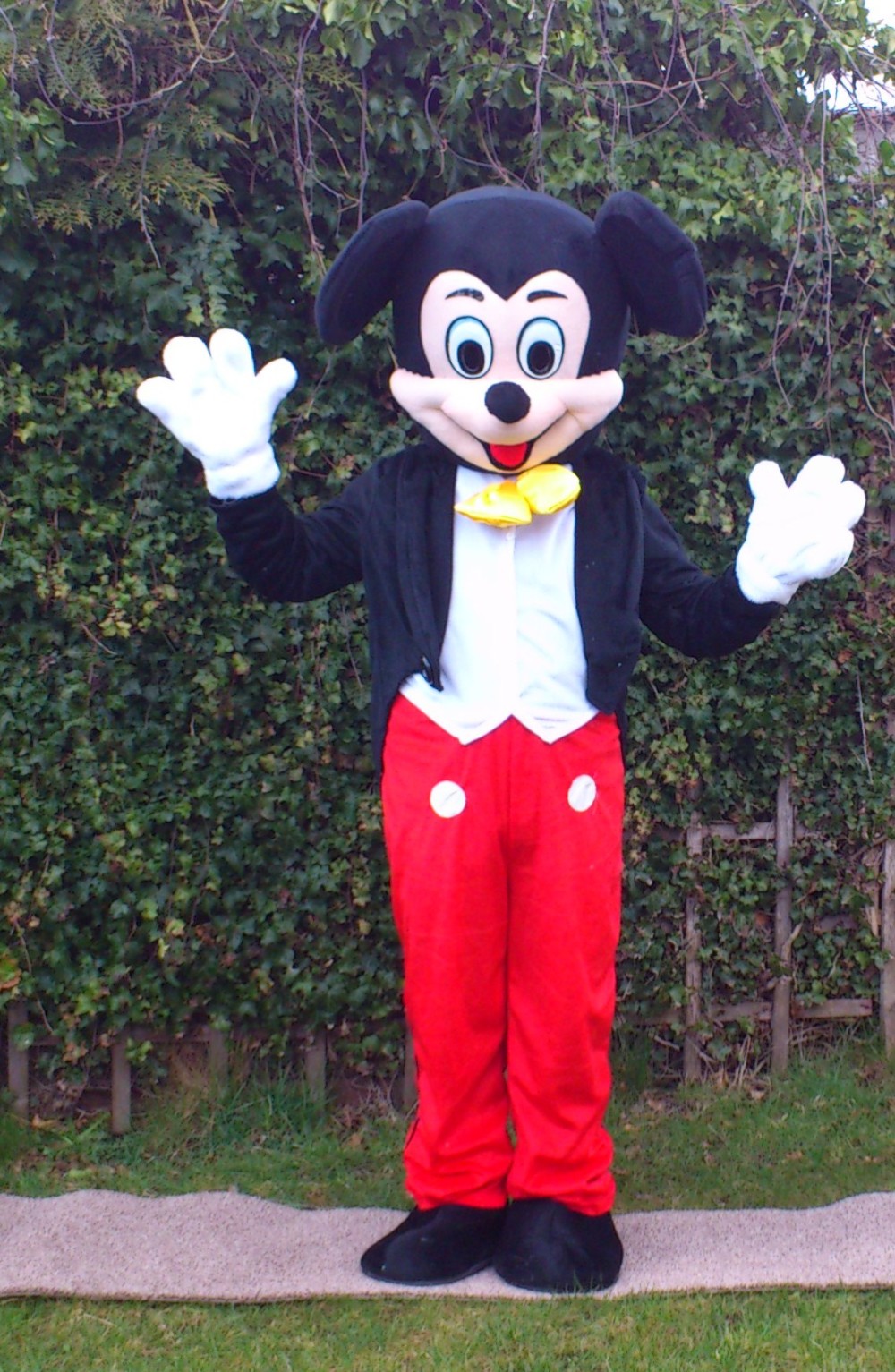 08 Event Mascots Costume Hire