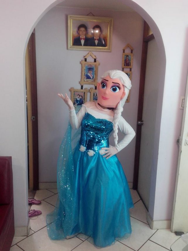 10169446_1464449970454383_3289443061915787807_n Event Mascots Costume